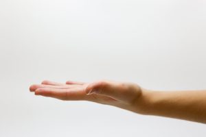 Tania Evans página web