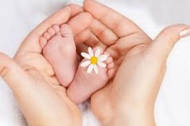 Blog de psicología procesos de fertilidad